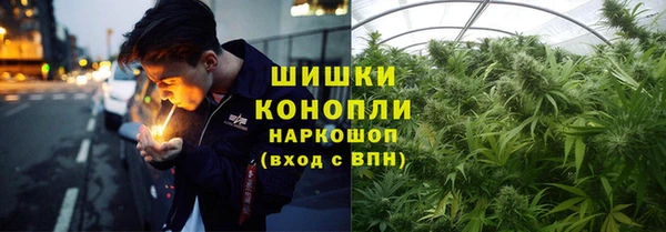 jwh Новозыбков